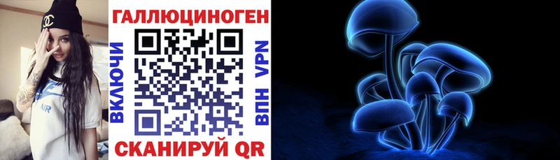 Галлюциногенные грибы Psilocybine cubensis  Феодосия 